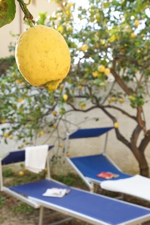 Bono Vacanze Casa Bono 夏卡 外观 照片